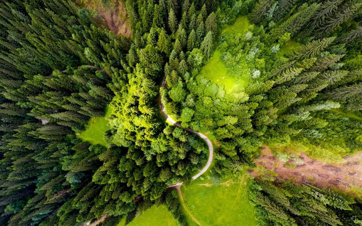 Resort Biela Skala - Chata Chopok Jasna Juh Bystrá Zewnętrze zdjęcie